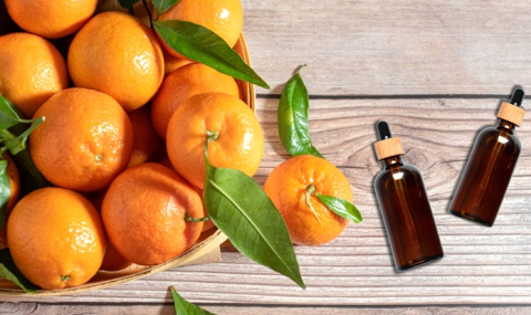 超級柑橘類黃酮清脂大作戰 從降血脂、體脂到大油肌，解鎖全面控油新話題！