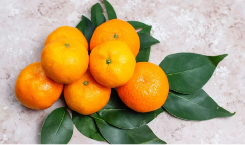 小林製藥引發紅麴風暴 柑橘類黃酮成替代新選擇!